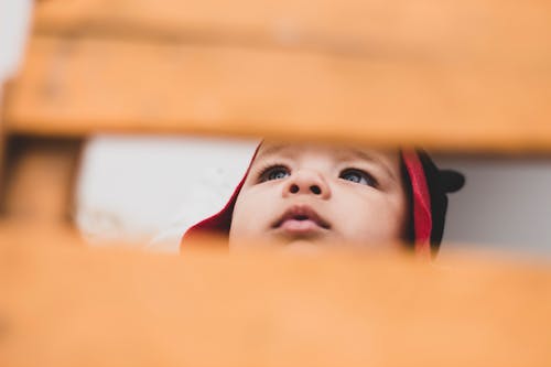 Sudadera Con Capucha Roja Y Negra Para Niños Pequeños