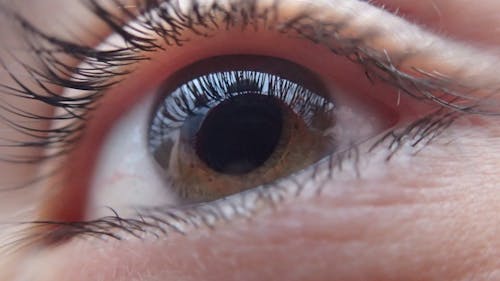 Primer Plano Extremo Del Ojo De La Mujer