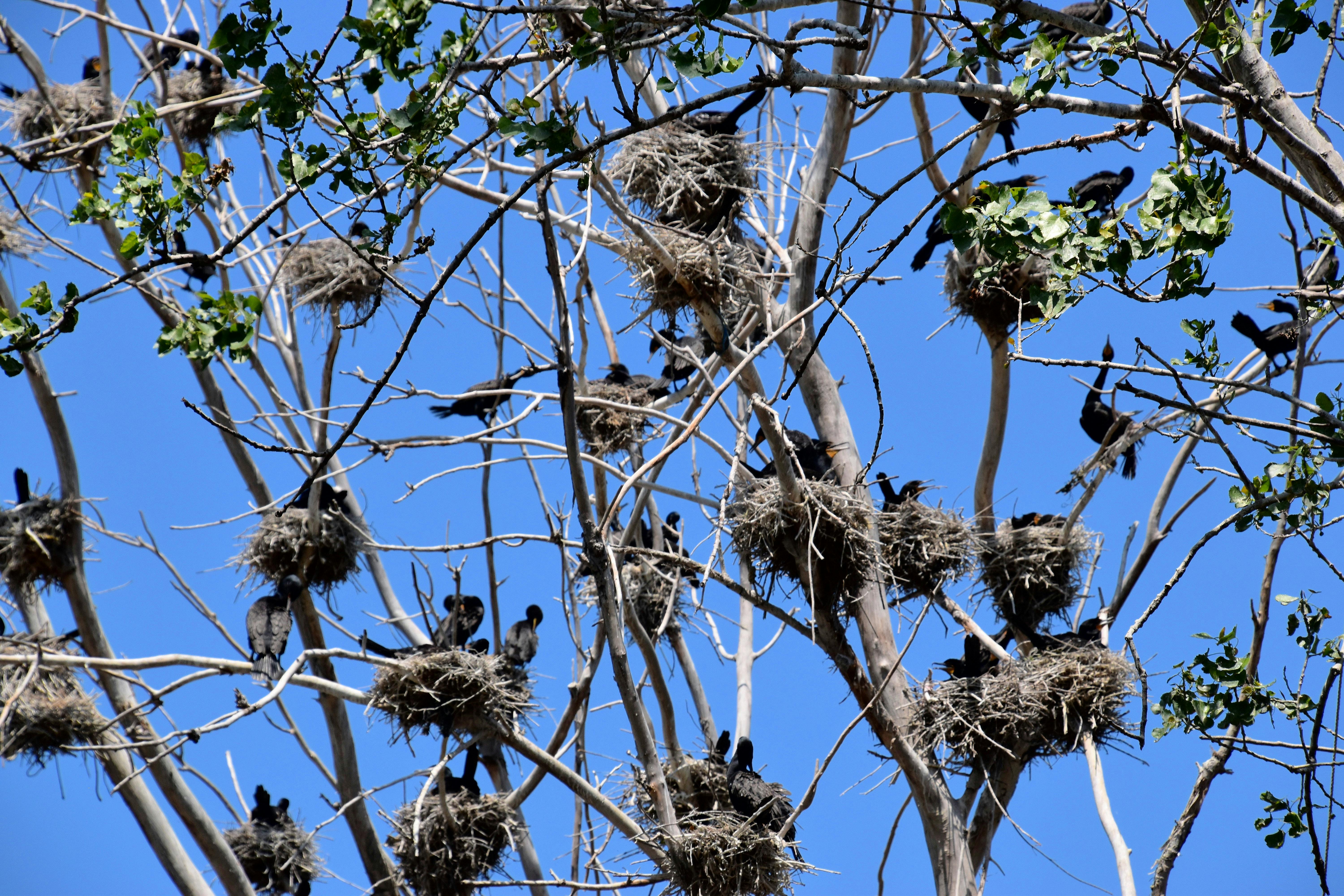 Affordable Investment