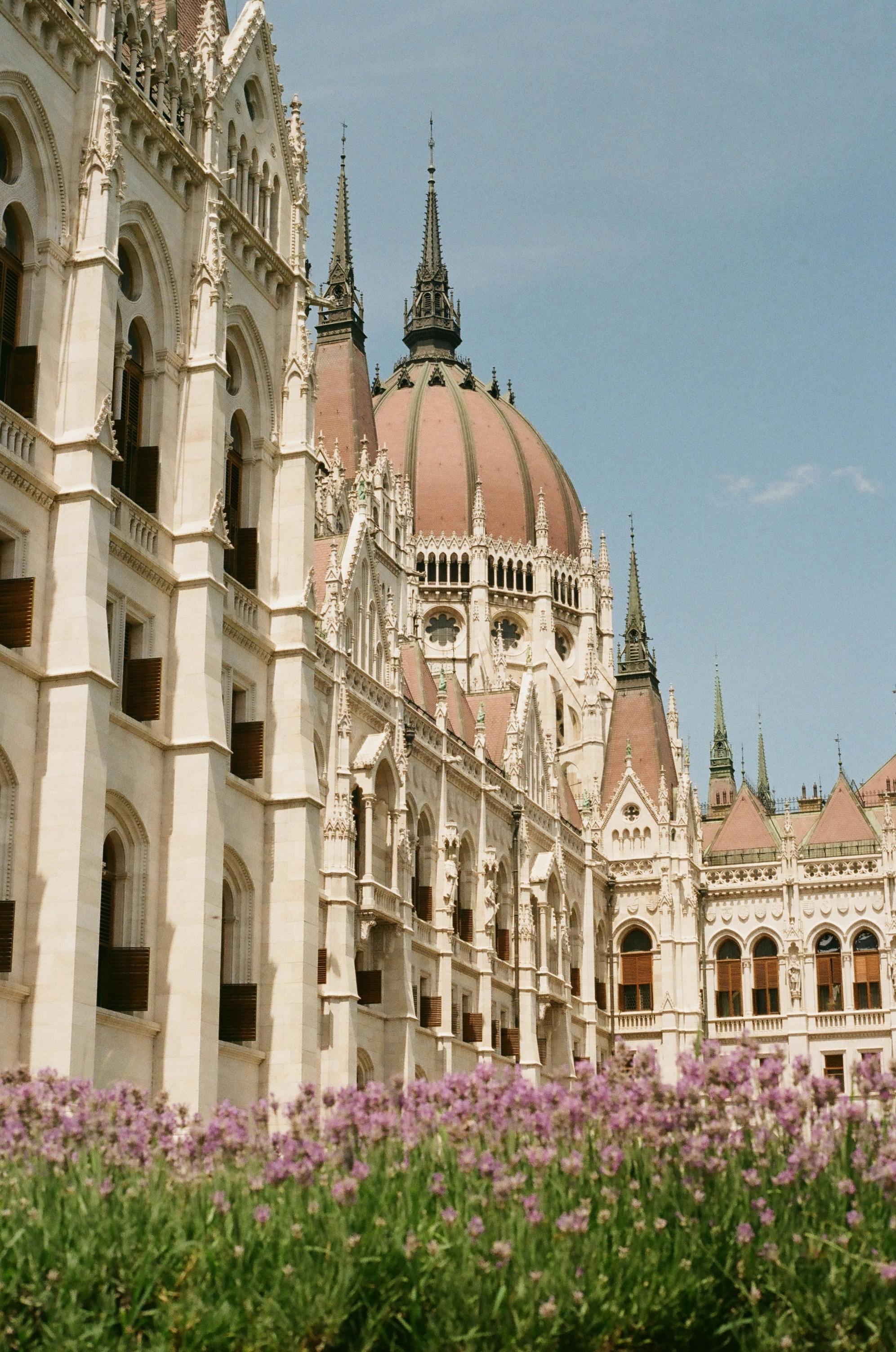 The iconic Hungarian Parliament Building in Budapest with a vibrant foreground of lavender blooms.