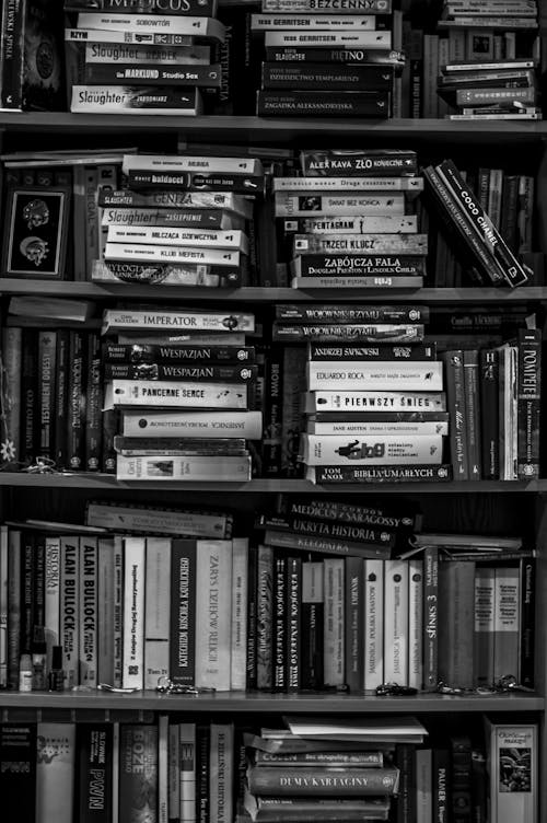 Free Gratis lagerfoto af bibliotek, bøger, boghandel Stock Photo