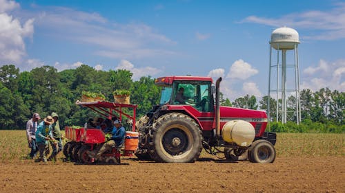 Kostenloses Stock Foto zu action, ausgraben, bauernhof