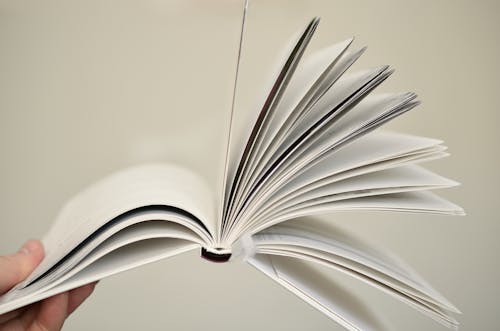 Close-up of Open Book