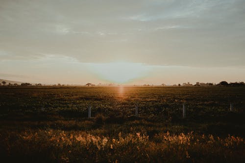 Imagine de stoc gratuită din agricultură, amurg, apus