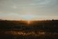 Artwork for From Farm Fields to Finding Purpose: Jody Durand on Mental Health, Loss & Leadership
