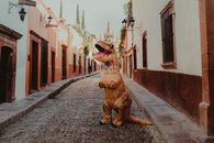 Brown Dinosaur Mascot