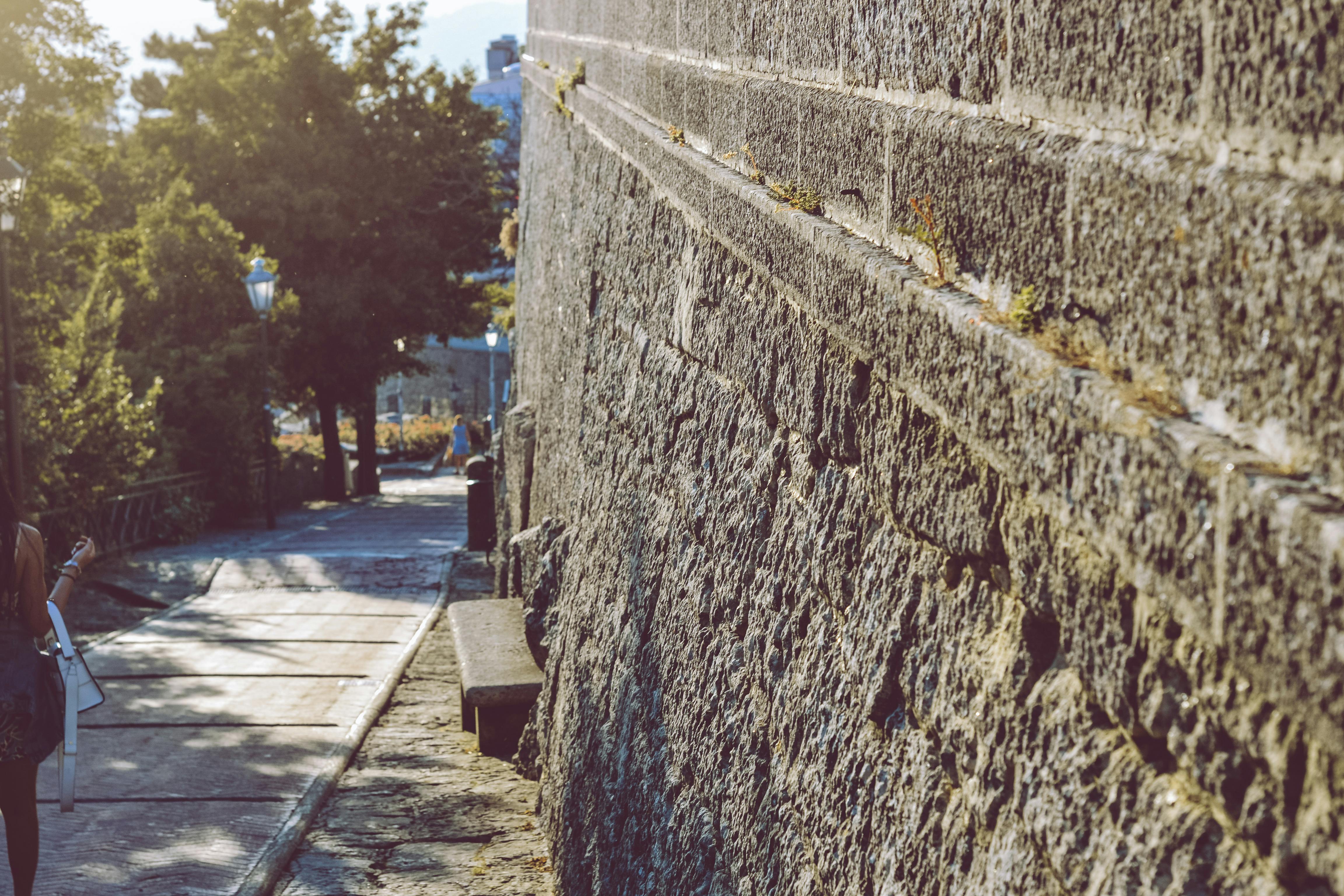 Chicharito soccer jersey 24-25