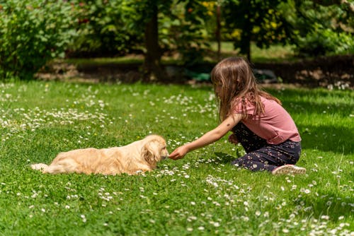 Photo of a Girl Playing with a Dog in a grassy field.