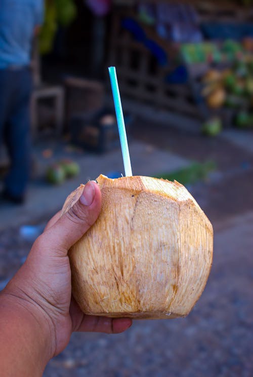 Foto stok gratis kelapa