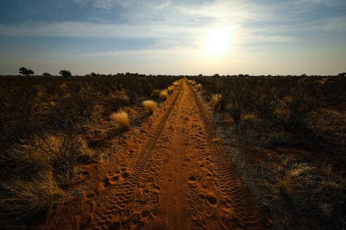Free A picturesque dirt road stretches across a rural landscape under a warm sunset, surrounded by dry vegetation. Stock Photo