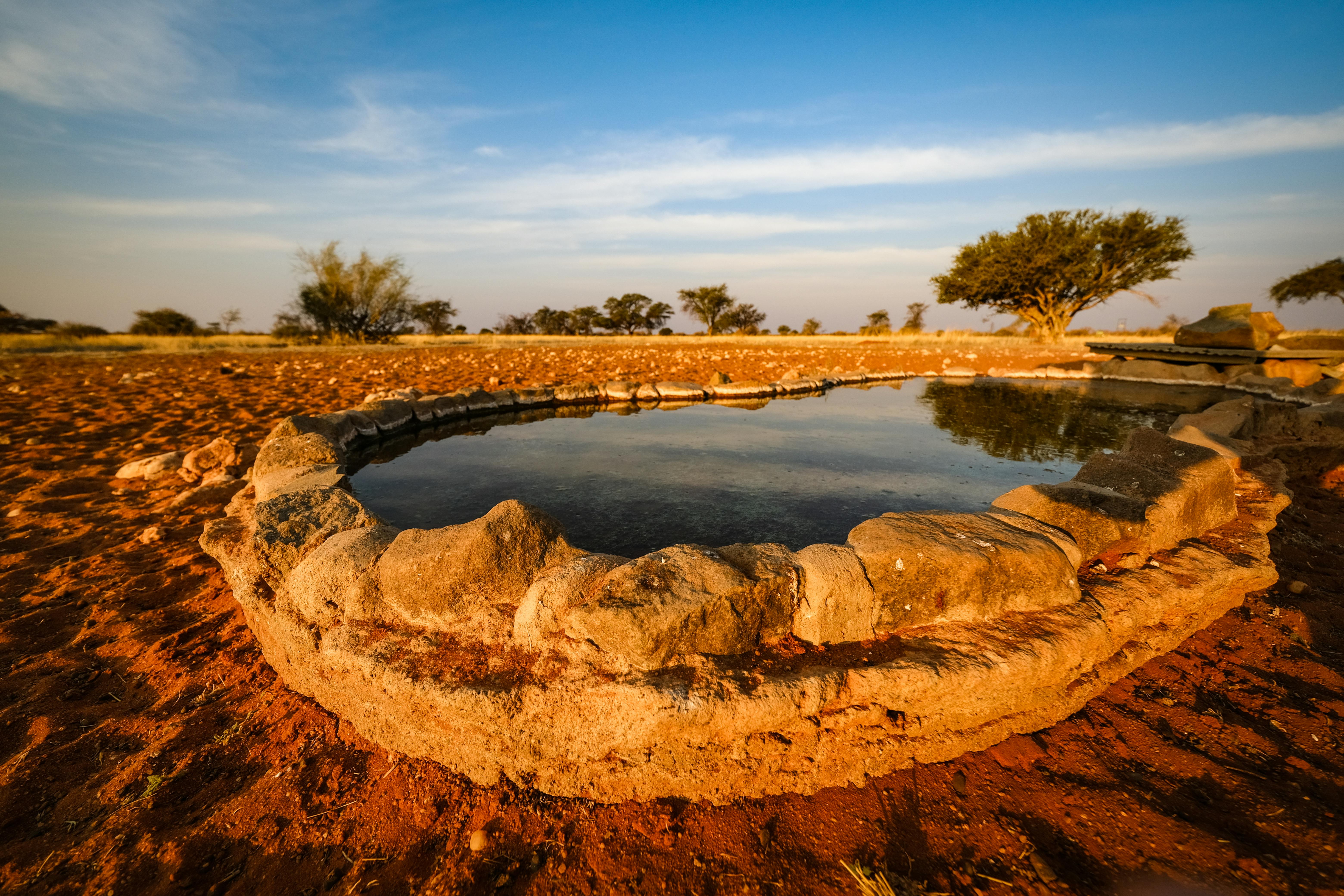 climate resilience drought mitigation — Photo by Francesco Ungaro on Pexels