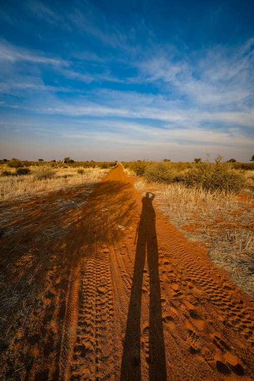 A shadow of a person walking on a dirt road