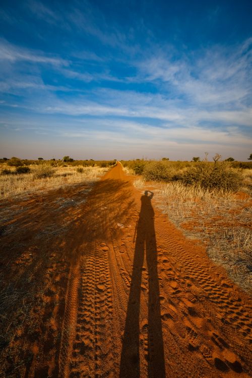 Free Shadow cast on a desert road during sunset with shrubs and tire tracks. Stock Photo