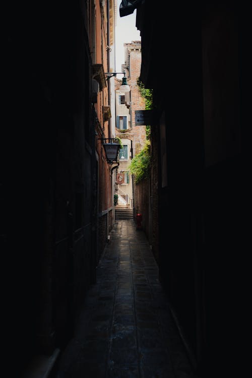 Photos gratuites de amoureux de la nature, italie, venise