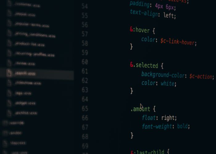 Web Development