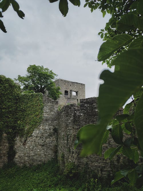 Castillo con hojas