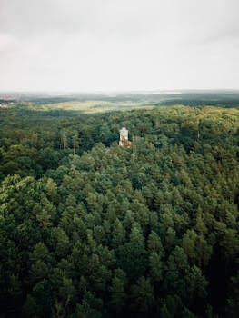 A scenic aerial view of a tower nestled in a dense forest in Germany.