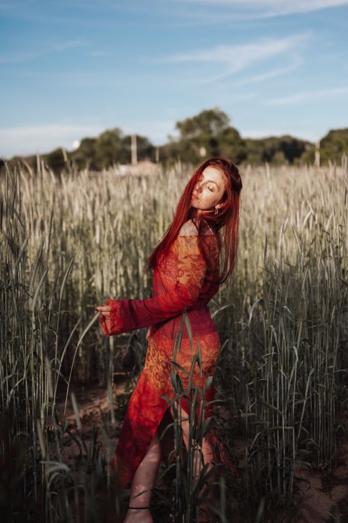Beautiful Woman in Red Dress Posing in Field · Free Stock Photo