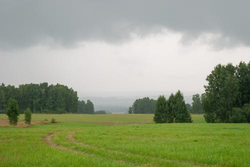 Free stock photo of beautiful, before storm, green
