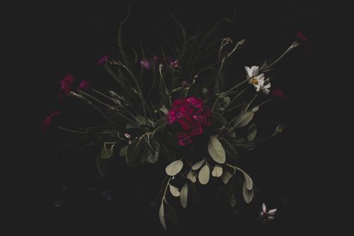 Moody floral arrangement on a dark ground — photo by Natasha Babenko on Pexels