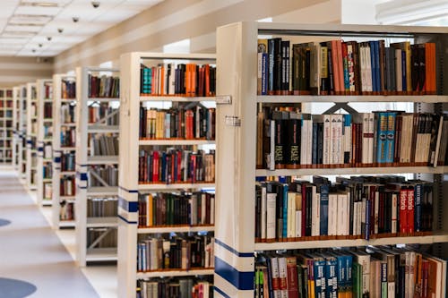 Row of Books in Shelf