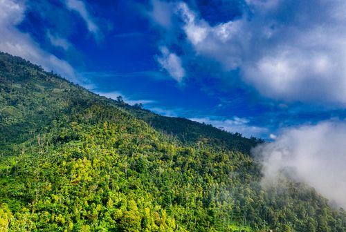 Free Scenic landscape of a lush green hillside under a vibrant blue sky with fluffy clouds in Banten, Indonesia. Stock Photo
