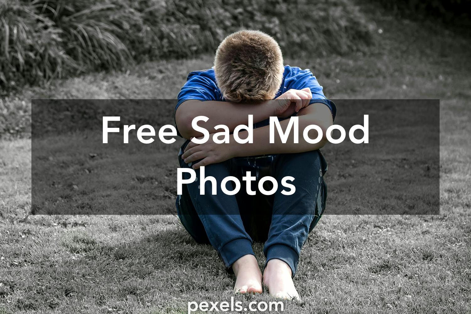 250+ Beautiful Sad Mood Photos · Pexels · Free Stock Photos
