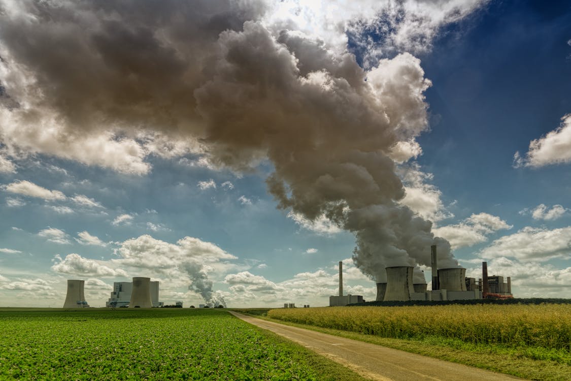 Industriemaschine In Der Nähe Von Pflanzen