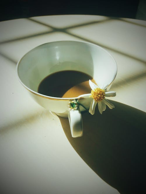 Free Δωρεάν στοκ φωτογραφιών με αναψυκτικό, καφεΐνη, καφές Stock Photo