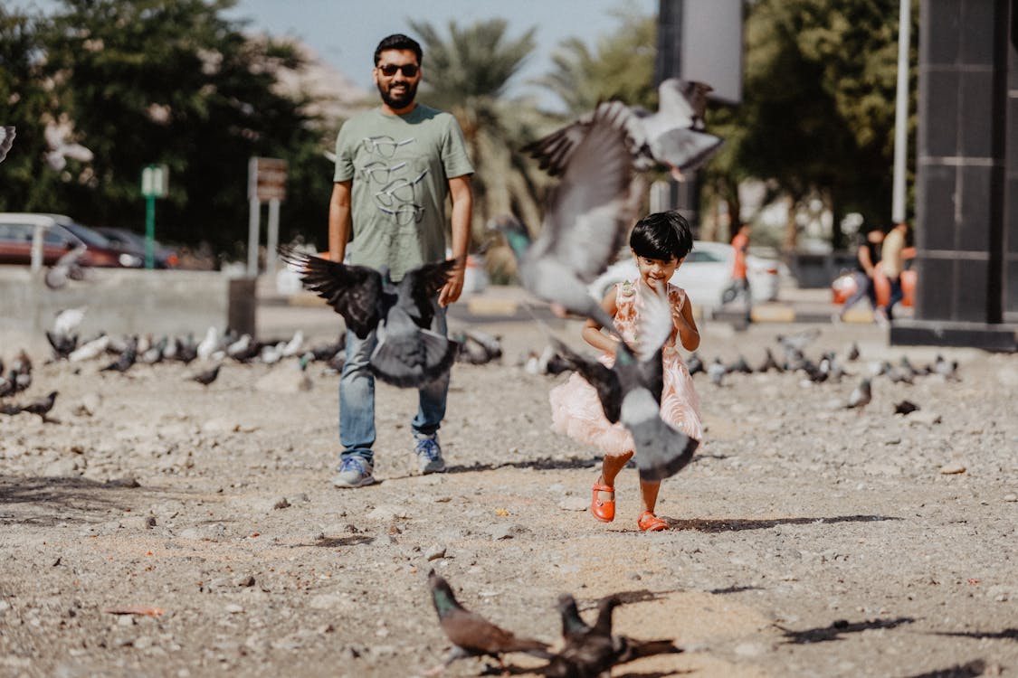 Free Man and Toddler Walking Near Birds Stock Photo