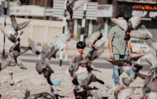 Photos gratuites de 1 an, amour, bébé en voiture