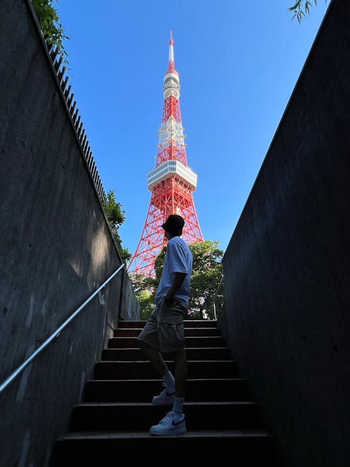 Základová fotografie zdarma na téma modeling, tokyo věž