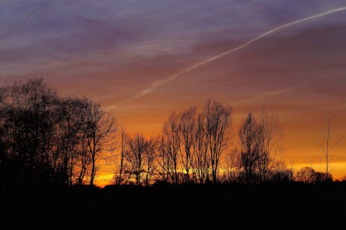 Silhouet Van Bomen Tegen Dramatische Hemel