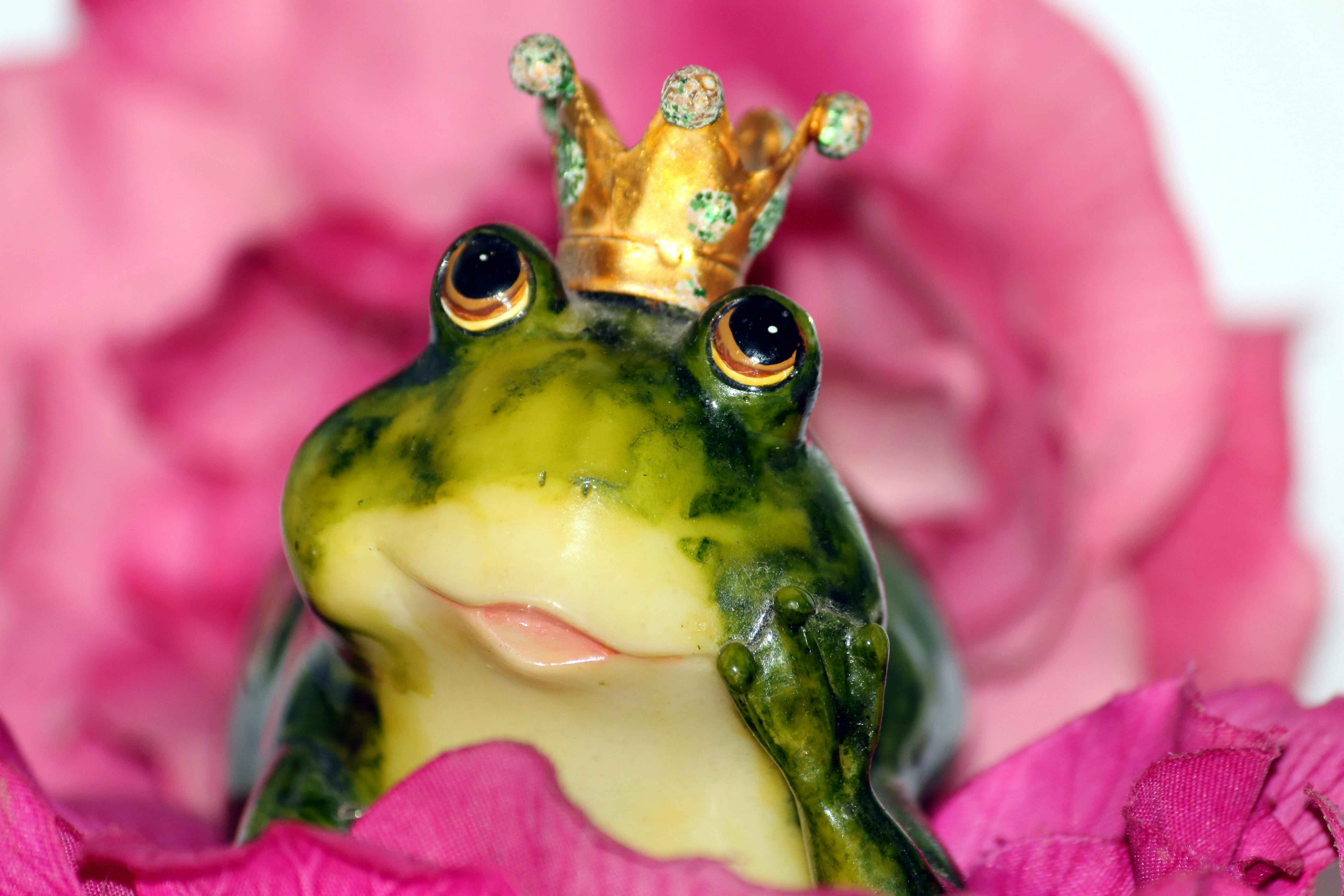 Dejting blommor