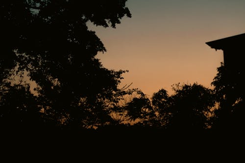 Základová fotografie zdarma na téma barevné nebe, krásná obloha, modrou hodinu