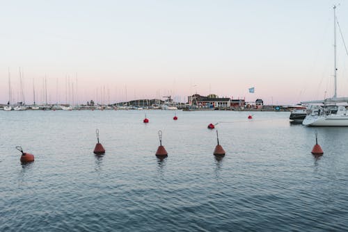 Photo Of Buoy Floating In The Water