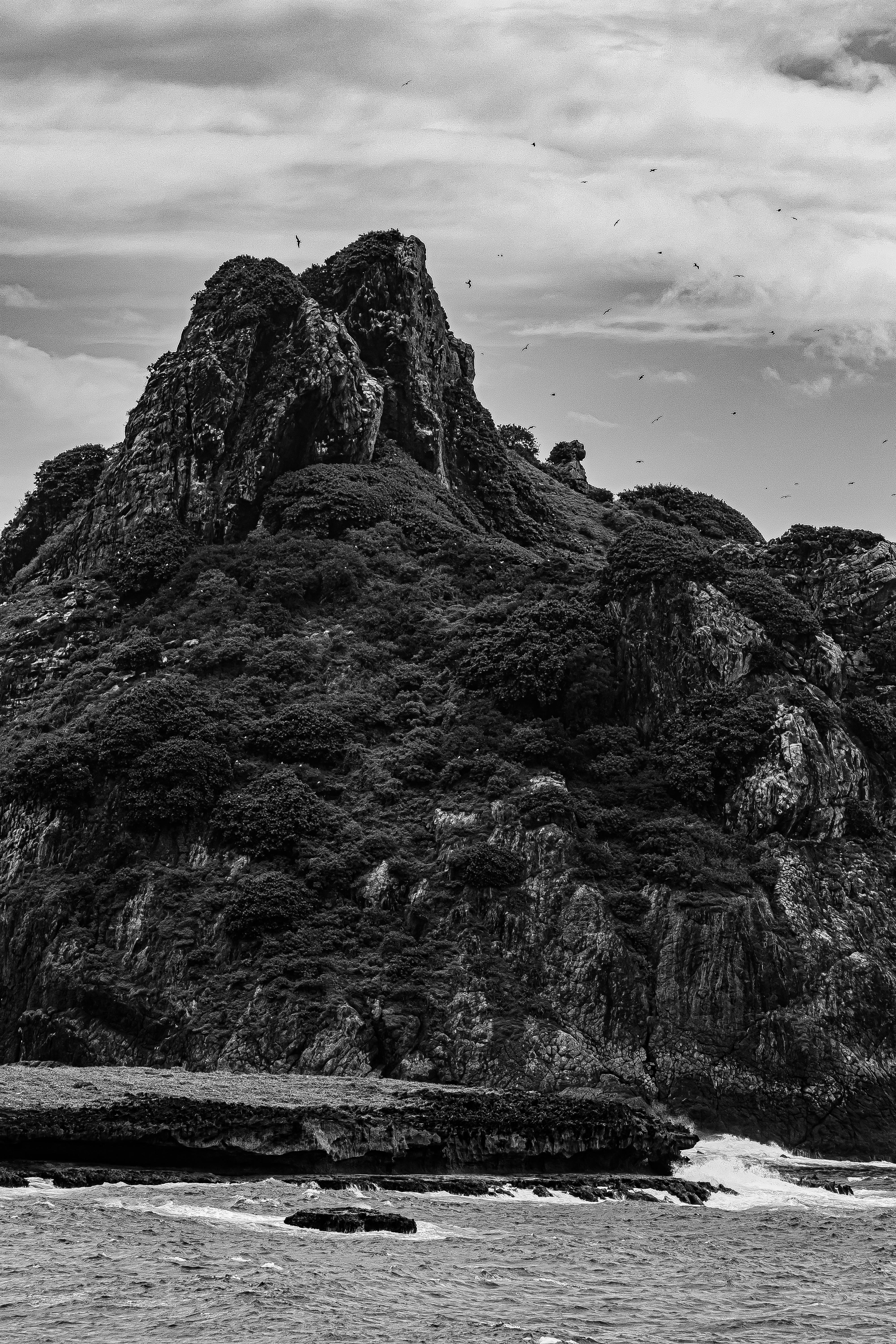 Striking black and white image of a rugged mountain on a coastline, capturing dramatic textures and contrasts.