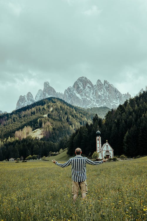 Immagine gratuita di albero, campo di fieno, collina