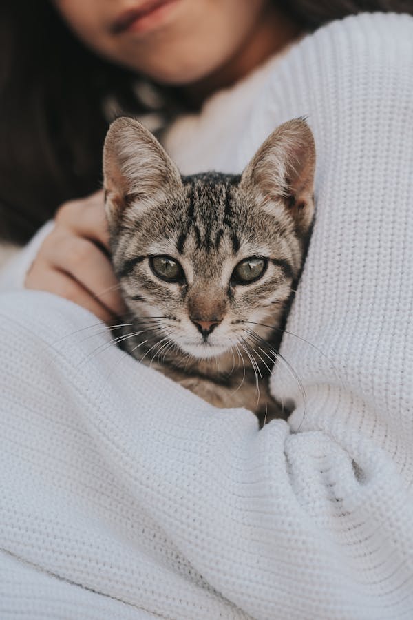 Small Woman Photos, Download The BEST Free Small Woman Stock Photos