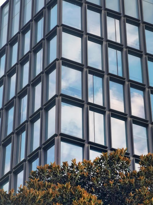 Základová fotografie zdarma na téma arquitetura urbana, Chile, historická budova