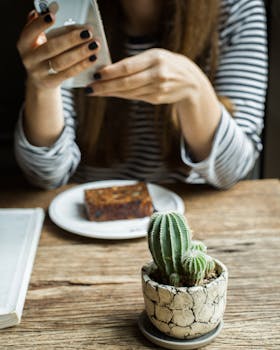一名女子在咖啡馆的木桌上拍了一张仙人掌的照片