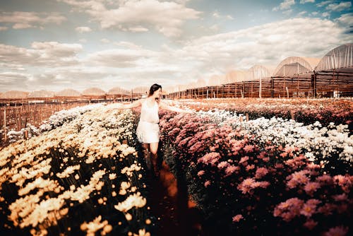 Photo Of Woman Standing In A Flower Field