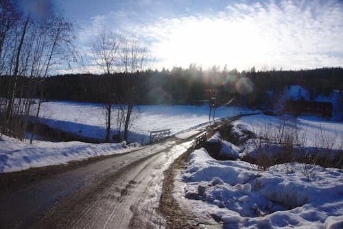ブリッジ, 冬, 太陽の無料の写真素材