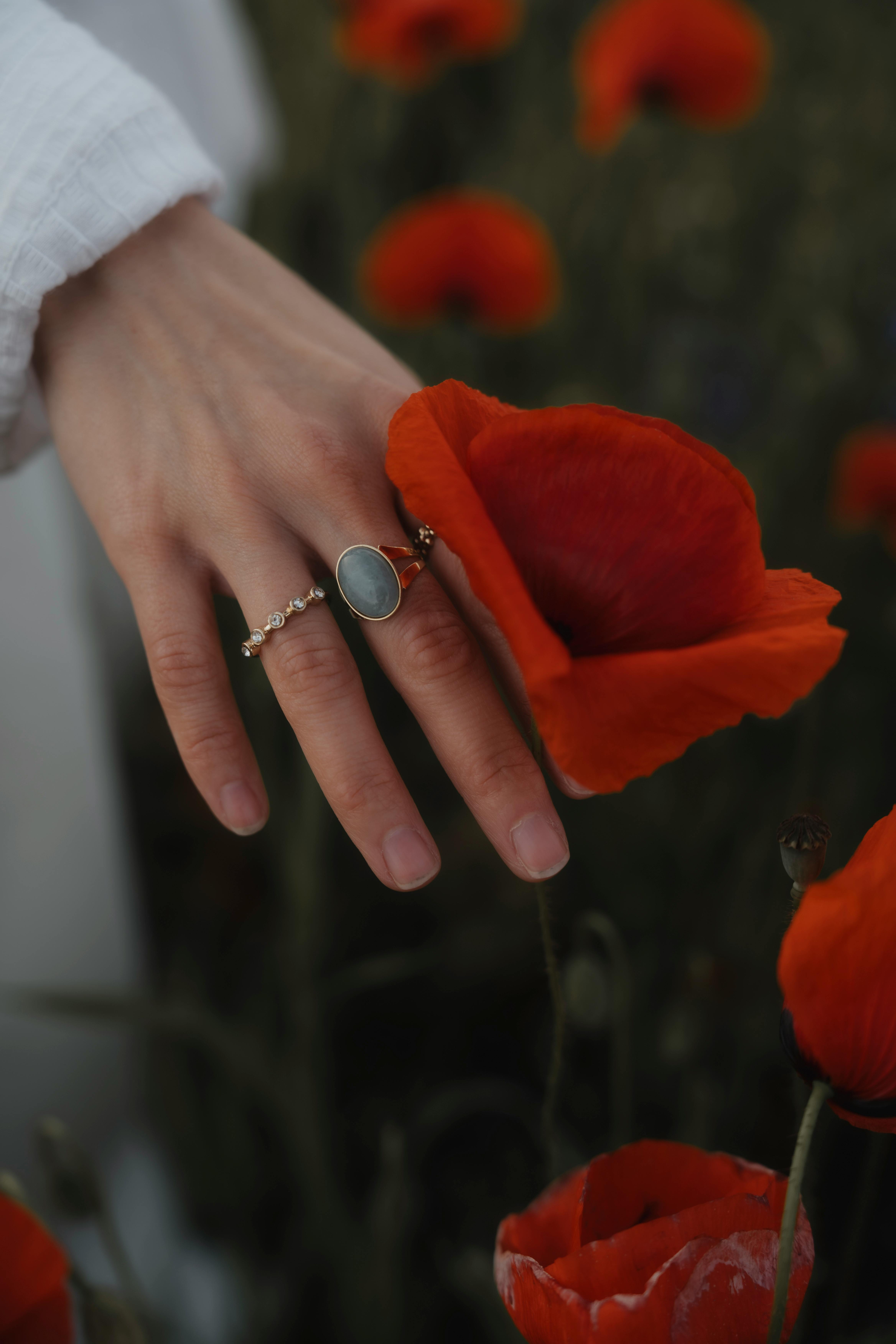 close up of a woman wearing rings touching a poppy on a meadow