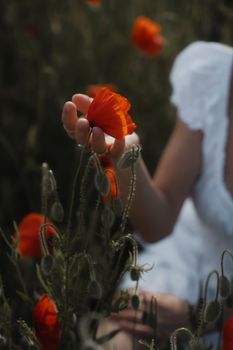 A young woman in a white dress holding a red poppy flower in an outdoor field setting.