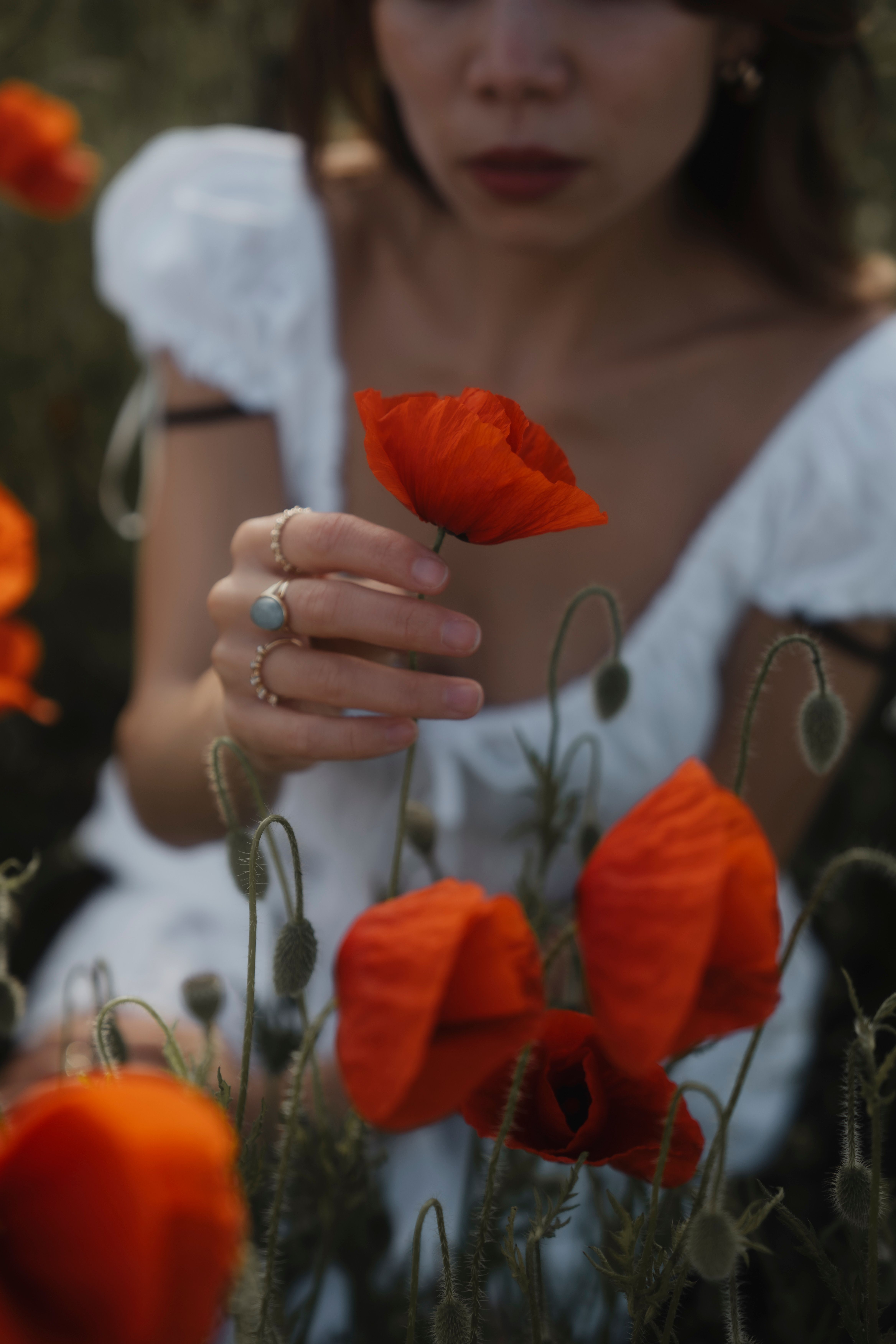 A young woman in a white dress holds a vibrant red poppy flower in a blooming field during daylight.