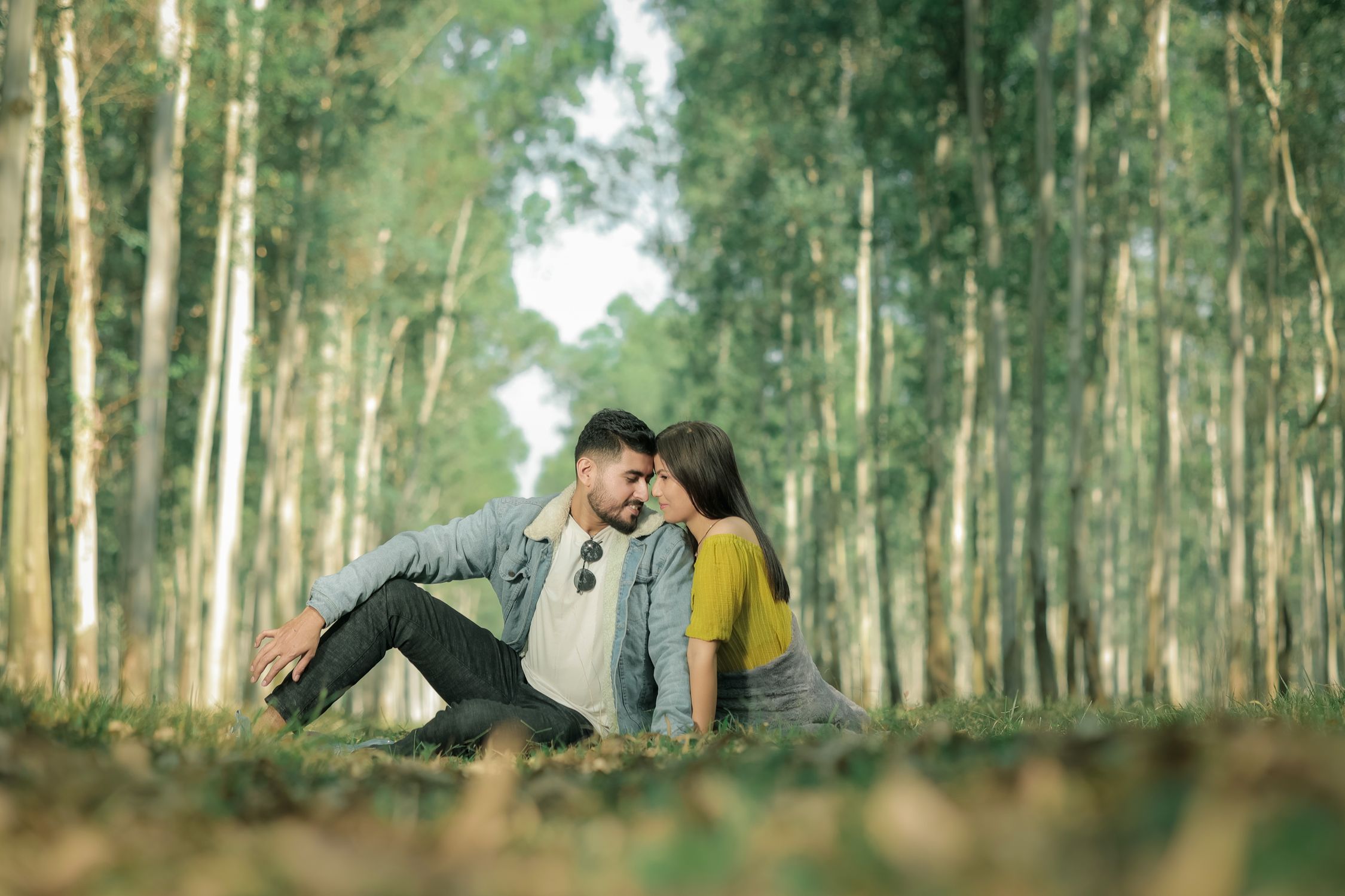 Couple Sitting in Forest · Free Stock Photo