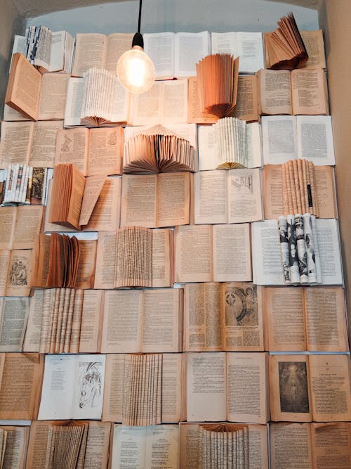 A wall with books on it and a light hanging from it
