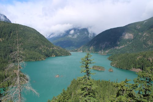 免费 白天湖的风景 素材图片