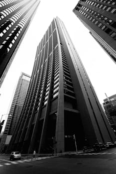 芝加哥市中心的黑白城市景观中，高耸着摩天大楼